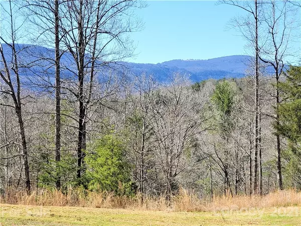 Mill Spring, NC 28756,0 Mountain Pkwy #24