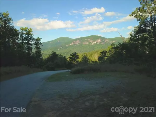 Lake Lure, NC 28746,53 Boulder Run DR ##53