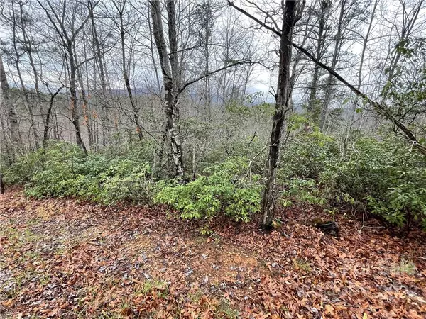 Nebo, NC 28761,322 Bear Cliff CIR #Lot #55