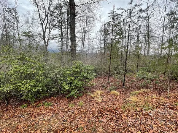 Nebo, NC 28761,322 Bear Cliff CIR #Lot #55