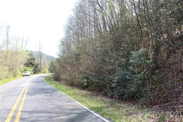 Lake Lure, NC 28746,Lot 61 Cedar Creek RD