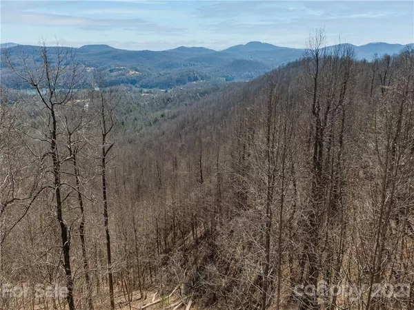 Zirconia, NC 28790,0000 Hawks View LN #Tract 1