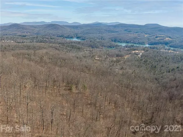Zirconia, NC 28790,0000 Mountain View Church RD #Tract 4