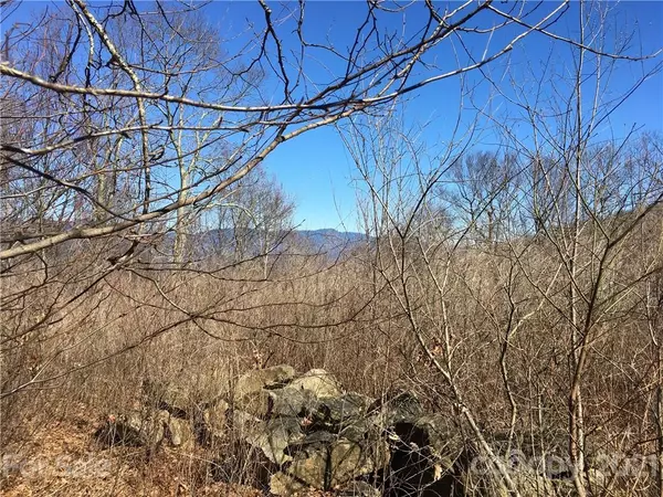 Swannanoa, NC 28778,0 Lytle Cove RD #Tract F