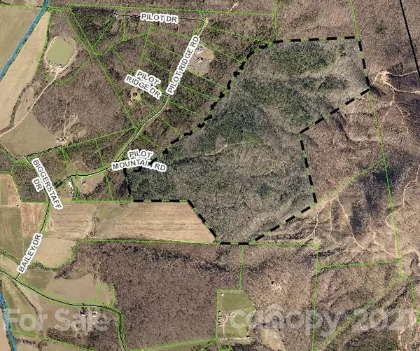 Nebo, NC 28761,Lot 13 Pilot Ridge RD #13