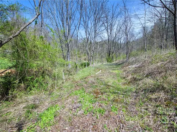 Whittier, NC 28789,99999 Sheeprock Cove RD