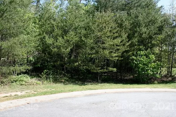 Bostic, NC 28018,Lot 11 Northern Cobblestone DR