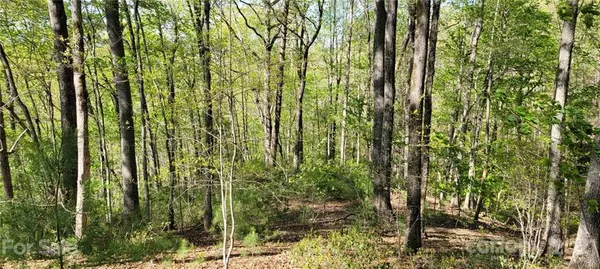 Nebo, NC 28761,Lot 26 Quiet PL