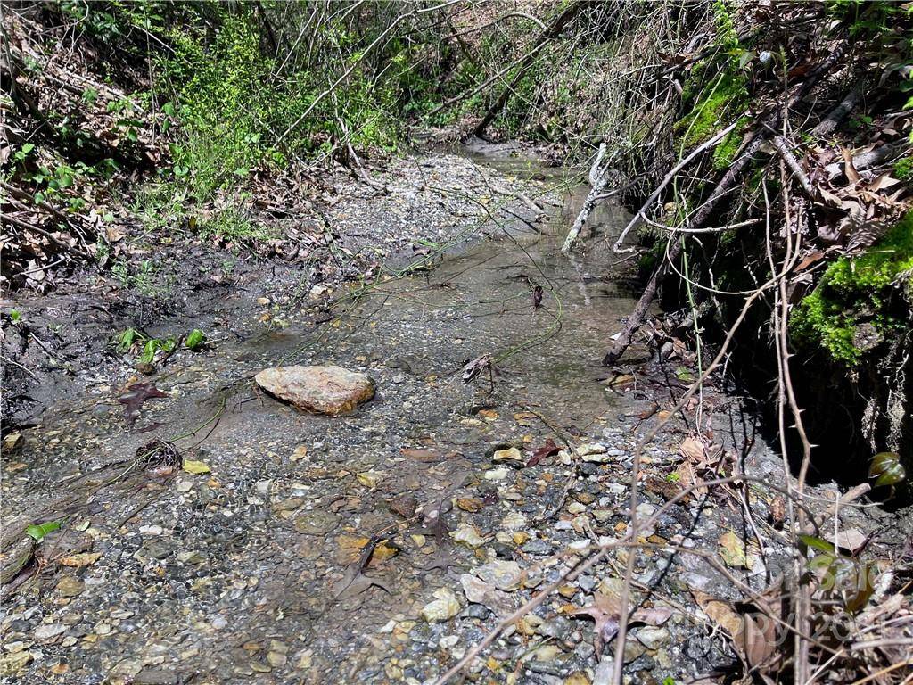 Mills River, NC 28759,99999 W Chippendale DR