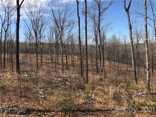 Tryon, NC 28782,1341 State RD