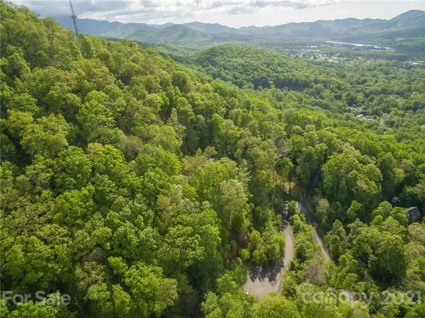 Swannanoa, NC 28778,5 Jacobs Ladder LN