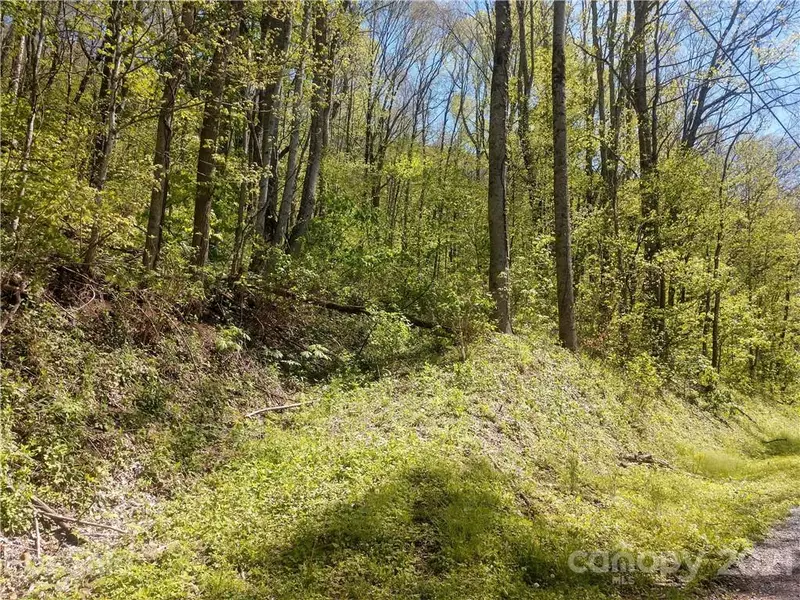 00 Old Country RD #326, Waynesville, NC 28786