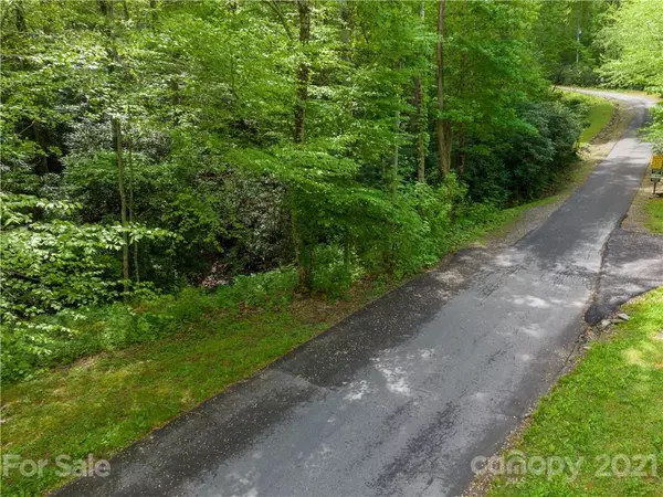 Black Mountain, NC 28711,99999 Holland DR