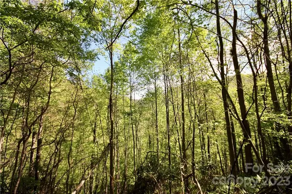 Mars Hill, NC 28754,99999 Lower Bailey Branch RD