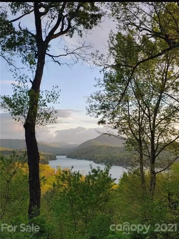 Lake Lure, NC 28746,139 Ridge View CIR