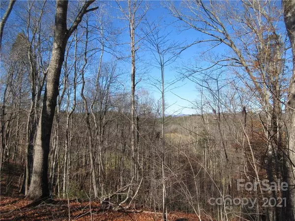 Mill Spring, NC 28756,Lot 6 S Cross Creek TRL