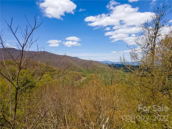 Mars Hill, NC 28754,65 Running Cedar DR #63,65,67