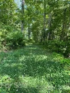 Clyde, NC 28721,Lot 15 Flowing Hills DR