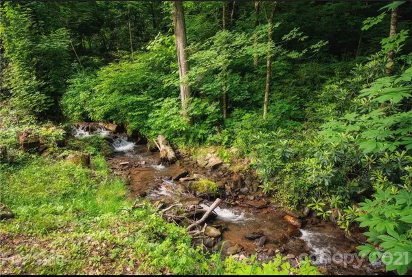 Sylva, NC 28779,265 Lick Log RD
