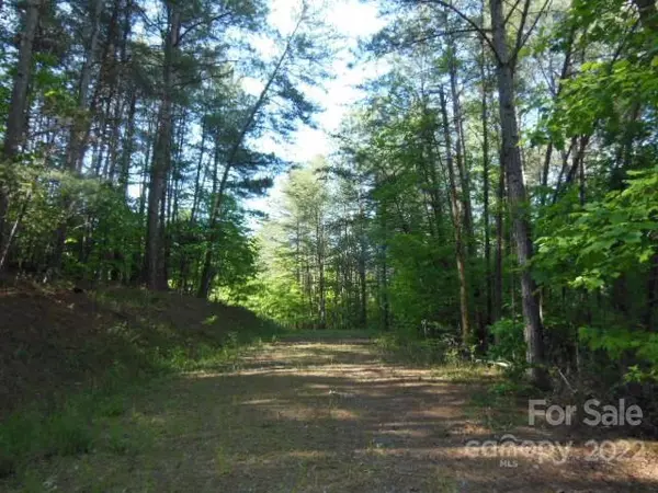 Rutherfordton, NC 28139,9 and 10 Grassy Knob RD #9 and 10