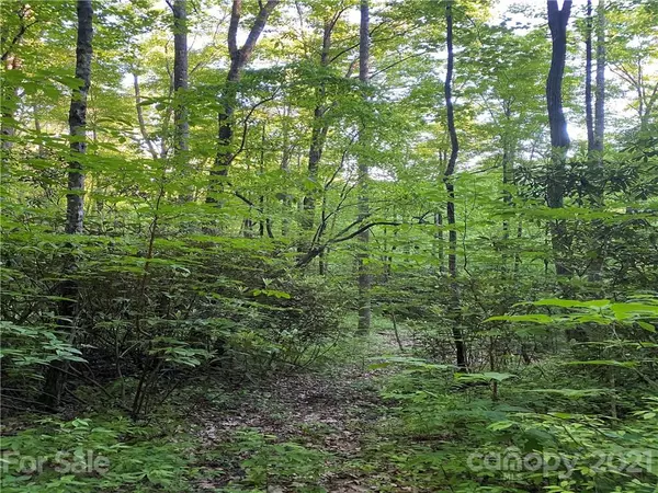 Lake Toxaway, NC 28747,Lot 9 Highland DR