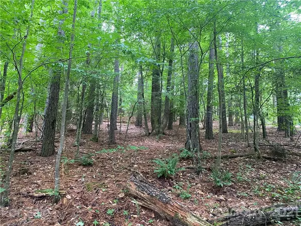 Granite Falls, NC 28630,6140 Plantation Pointe DR #67