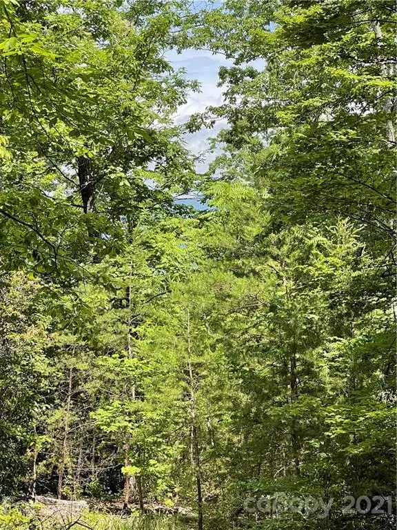 Union Mills, NC 28167,0 Western Meander RD