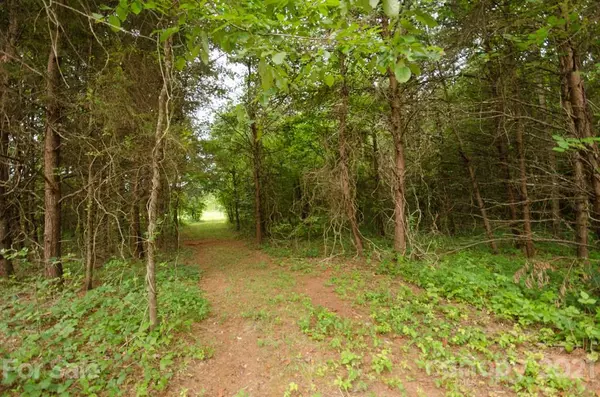 3126 Blackburn Bridge RD #Lot 2B, Lincolnton, NC 28092