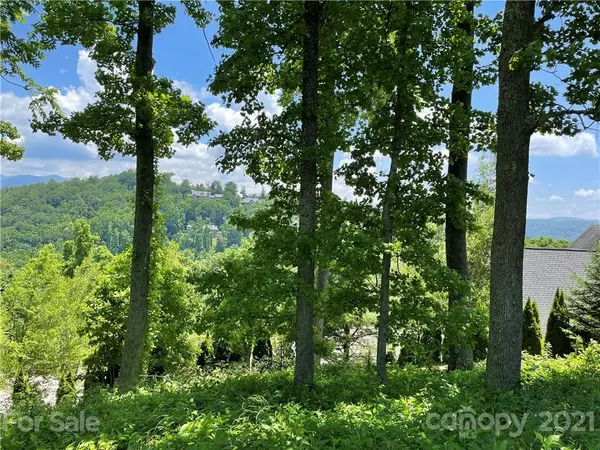 Asheville, NC 28804,119 Summit Tower CIR #240