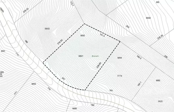 M83 Pine Mountain TRL #M83, Brevard, NC 28712