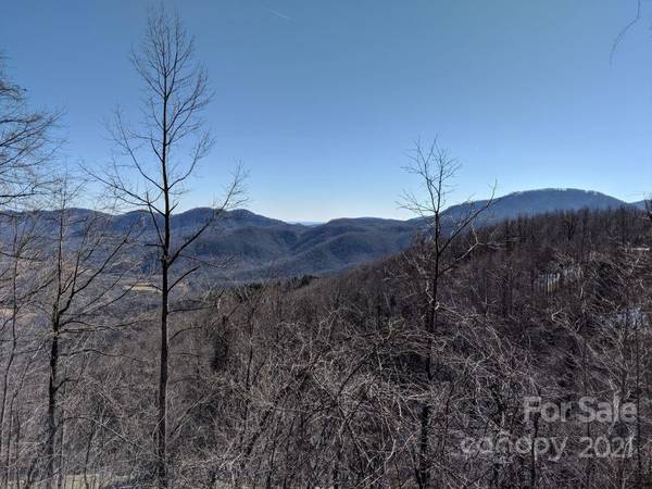 Black Mountain, NC 28711,Lot T-78  1591 Creston DR #T-78