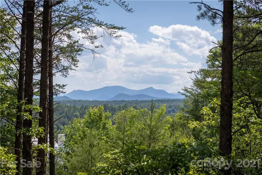 1690 Pisgah Preserve DR #40, 41, Nebo, NC 28761