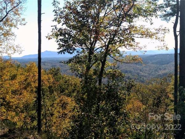 LOT 207 Golden Ridge DR, Lake Lure, NC 28746