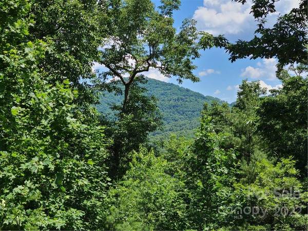 99999 Black Oak DR, Asheville, NC 28804