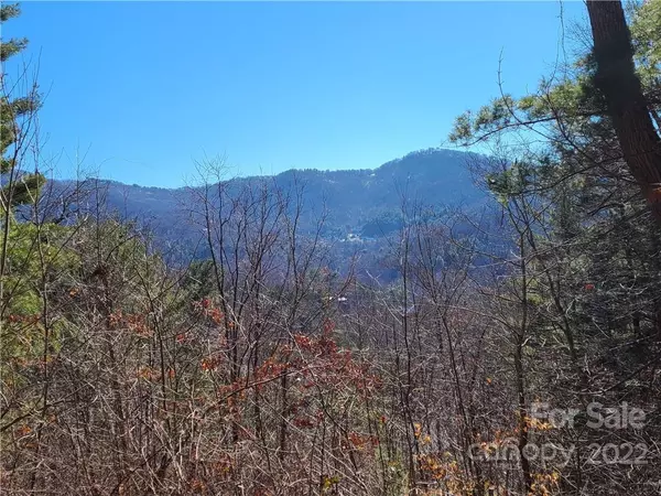 Asheville, NC 28804,99999 Black Oak DR