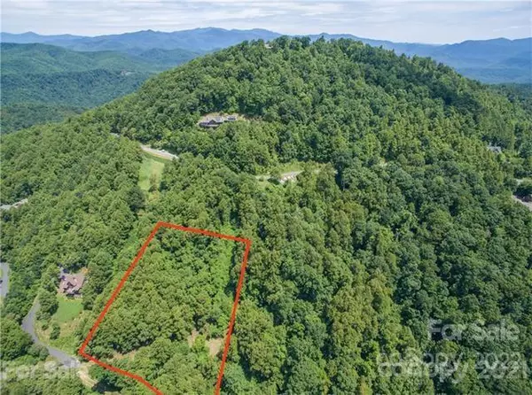 Black Mountain, NC 28711,T-62  501 Warbler LN #T-62