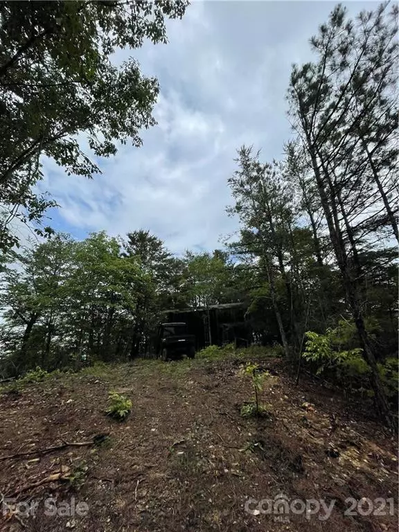 Hot Springs, NC 28743,99999 Plum Tree Holler DR