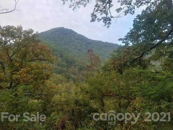 Bryson City, NC 28789,0 Conleys Creek RD