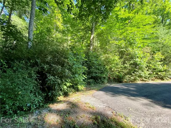 Hendersonville, NC 28792,00000 Blue Rock RD #18