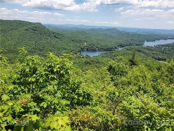 Lake Toxaway, NC 28747,162 Moltz CT #162