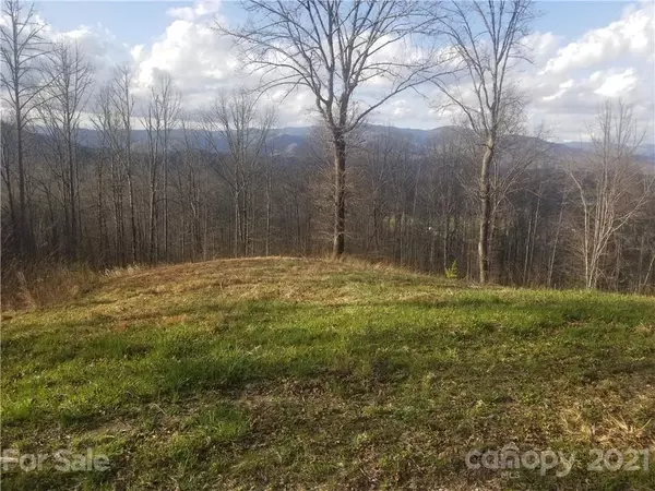 Bryson City, NC 28713,00 Fox Run RDG