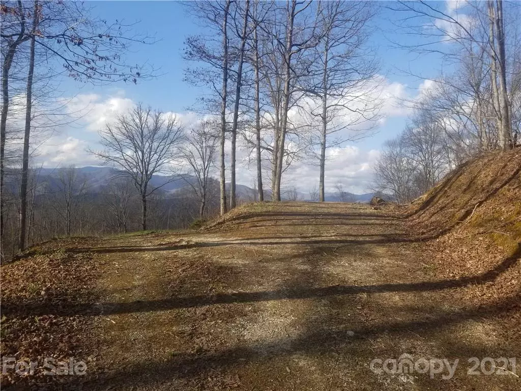 Bryson City, NC 28713,00 Fox Run RDG