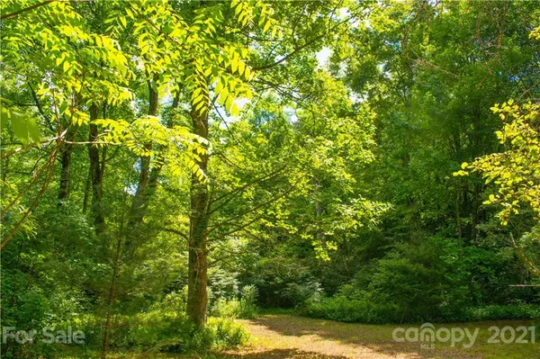 Lake Toxaway, NC 28747,000 Golden RD