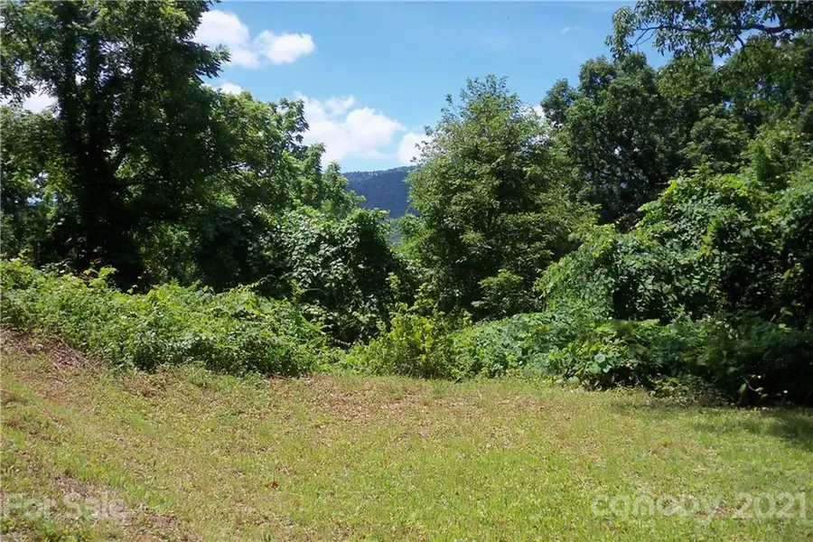 Lot 20 Tanner TRL, Waynesville, NC 28785