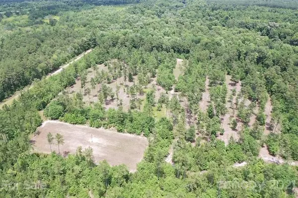 Burgaw, NC 28425,2802 Murray Town RD