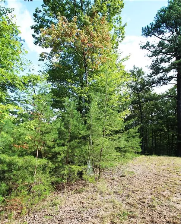 Old Fort, NC 28762,LOT 307 Wild Cherry LN #307