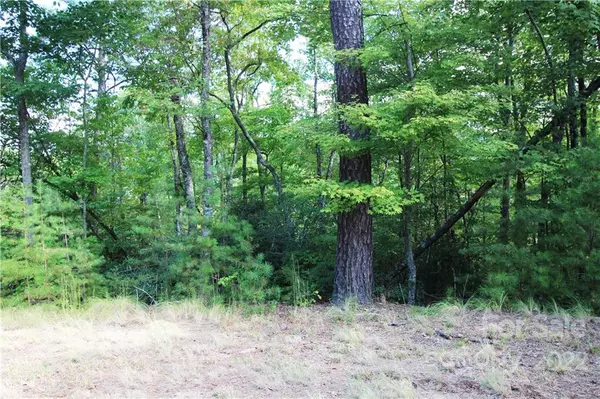 Old Fort, NC 28762,LOT 307 Wild Cherry LN #307