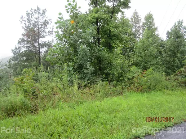 Lot 105/110 Big Rock RD, Bostic, NC 28018