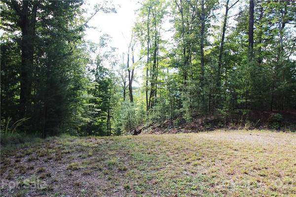 Old Fort, NC 28762,LOT 313 Wild Cherry LN #LOT 313