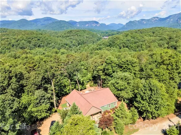 Lake Lure, NC 28746,390 Swans WAY E #261